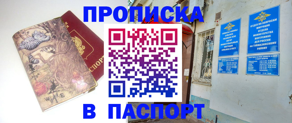 пропишу в квартире в Советской Гавани